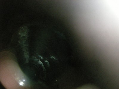DSCN4849.JPG