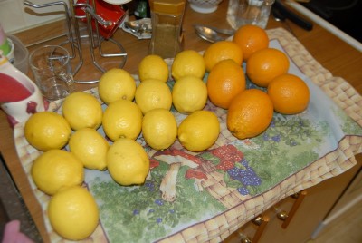 _limonchelo2.JPG