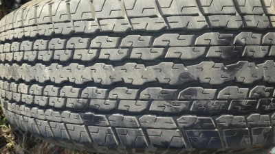 20160413_082431.jpg