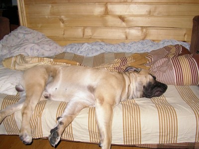 работы кай.jpg