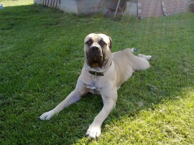 на травке.jpg