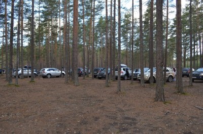 DSC_0242.jpg