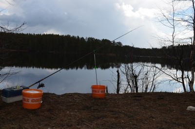 DSC_0296.jpg