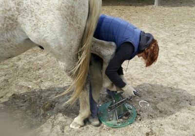 IMG_20160502_210931.jpg (2.41 МБ) Просмотров: 17121 IMG_20160502_210931.jpg