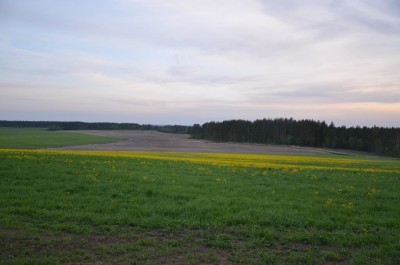 DSC_4803.JPG