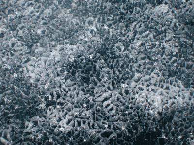 DSCN0717_.gif