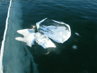 DSCN6643_.gif