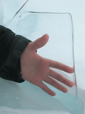 DSCN0575_.gif