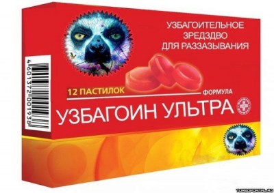 1381002654_uzbagoin.jpg