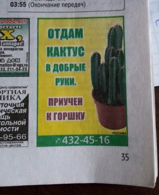 gXSnnc3dr0U.jpg