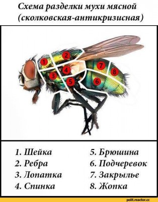 _-_-3180384.jpeg