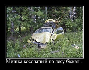 1775_kartinki_s_podpisjami_144_foto_131.jpg