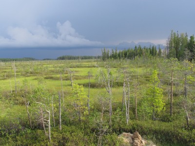IMG_8186.JPG