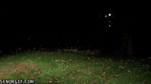 скачанные файлы.gif