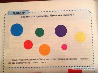 6552208.jpg