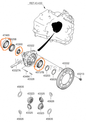 CImage (1).png