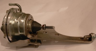 10196380.JPG