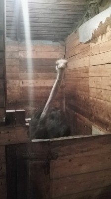 IMG_20161016_135500.jpg
