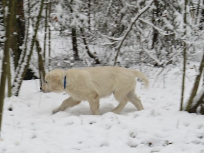 IMG2.jpg