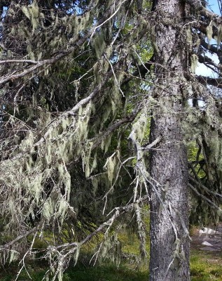 20150620_142617_800.jpg