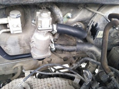 IMG_20161123_093745_1.jpg (107.14 КБ) Просмотров: 20839 IMG_20161123_093745_1.jpg