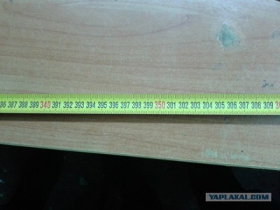 8955923.jpg