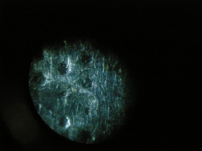 DSCN5004.JPG
