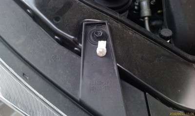 IMAG0104.jpg