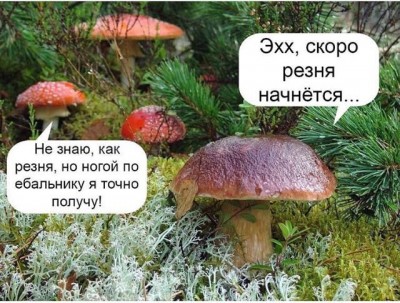 IMG-20170327-WA0002.jpg