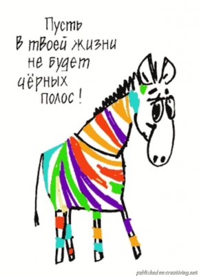 зебра к днюхе.jpg