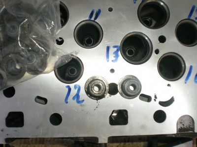 DSCN5178.JPG