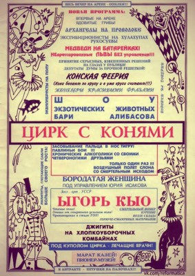 10516720.jpg
