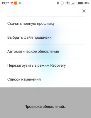 Screenshot_2017-11-29-13-07-38-428_com.android.updater.png