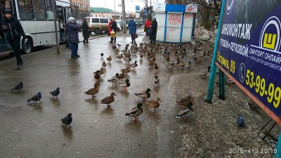 Вологда центр 2.jpg