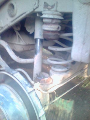 picture_00166.jpg
