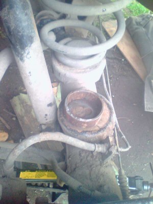picture_00164.jpg
