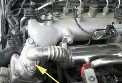 EGR_1-2-1.jpg