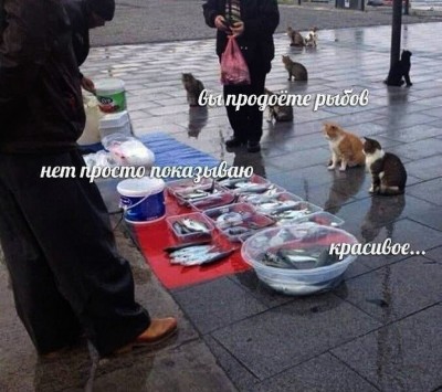 _normal.jpeg