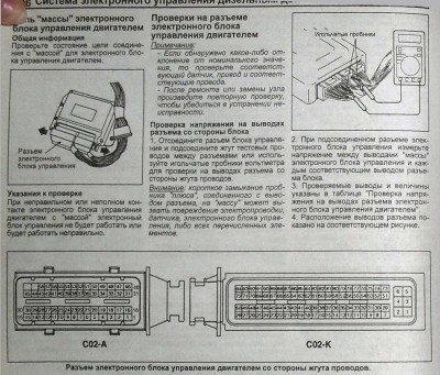 сорь.jpg