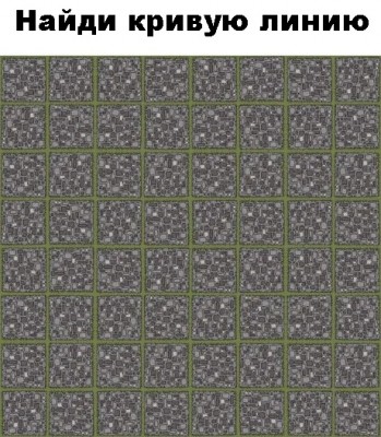 16238989.jpg