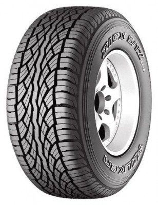 Falken.jpg