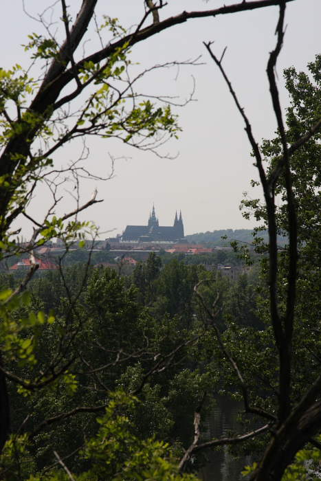 IMG_2353.JPG