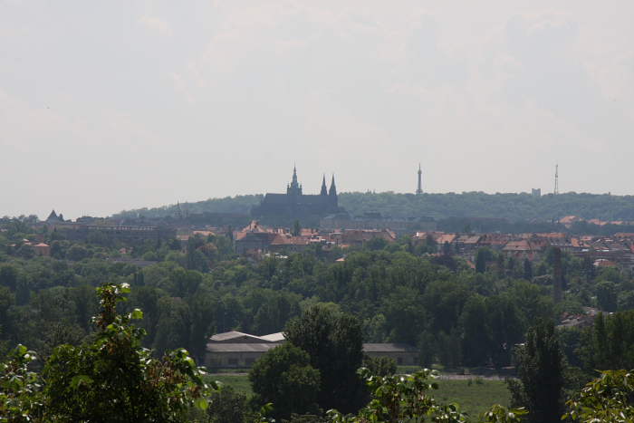 IMG_2432.JPG