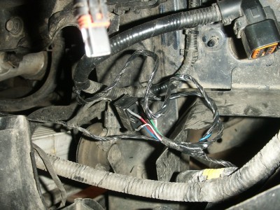 PICT0484.JPG