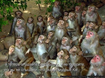 бандерлоги.jpg