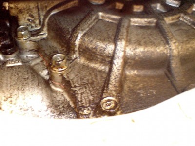 DSC03.JPG (198.28 КБ) Просмотров: 10909 DSC03.JPG