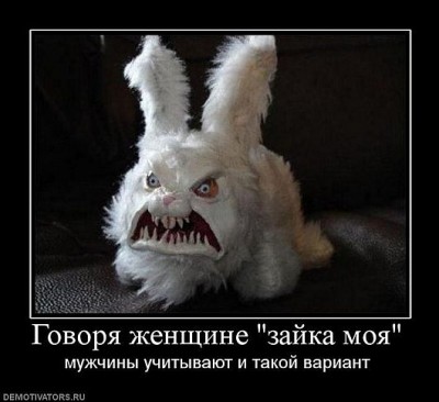 4202_bdx_917528_govorya_zhenschine_zajka_moya.jpg