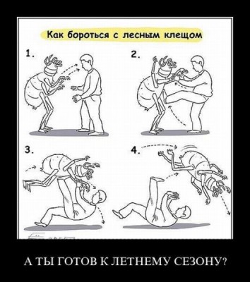 борьба с клещем.jpg