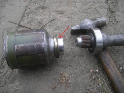 IMGP84211.JPG