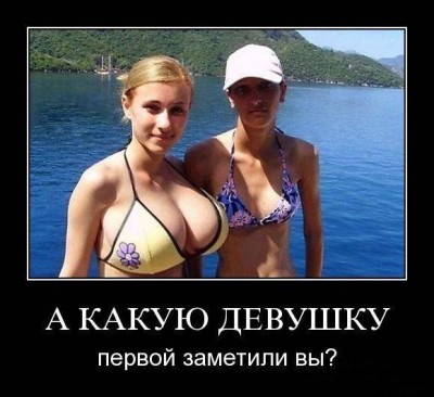 post-36-13124363397528.jpg